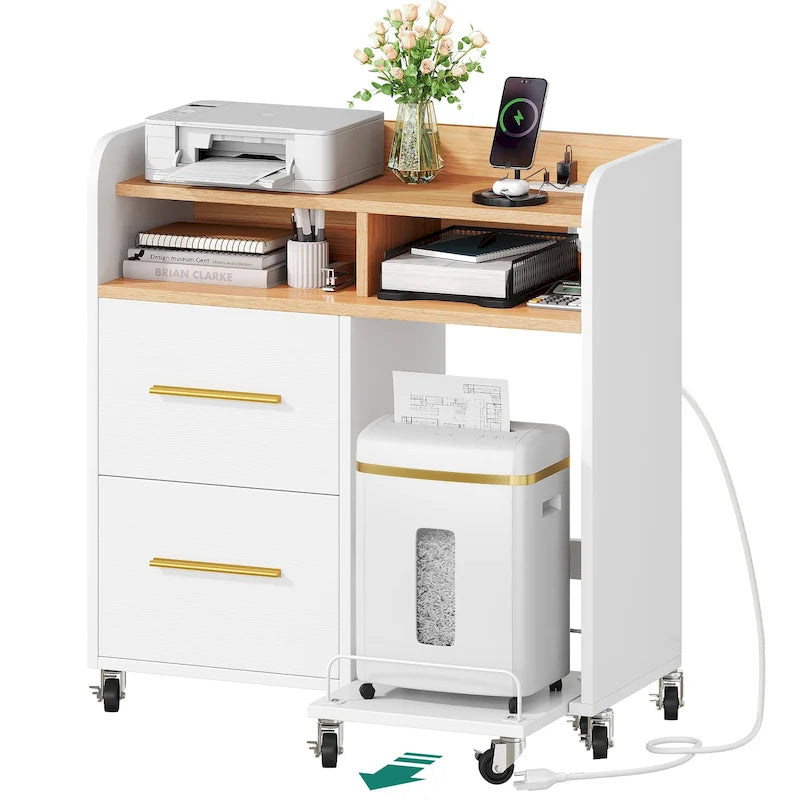 Meuble de rangement à roulettes Moasis à 2 tiroirs avec chariot support d'imprimante pour bureau à domicile